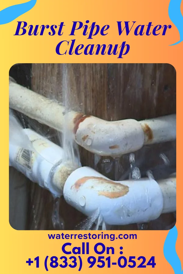 Burst Pipe Water Cleanup in Meadow View Addition, SD