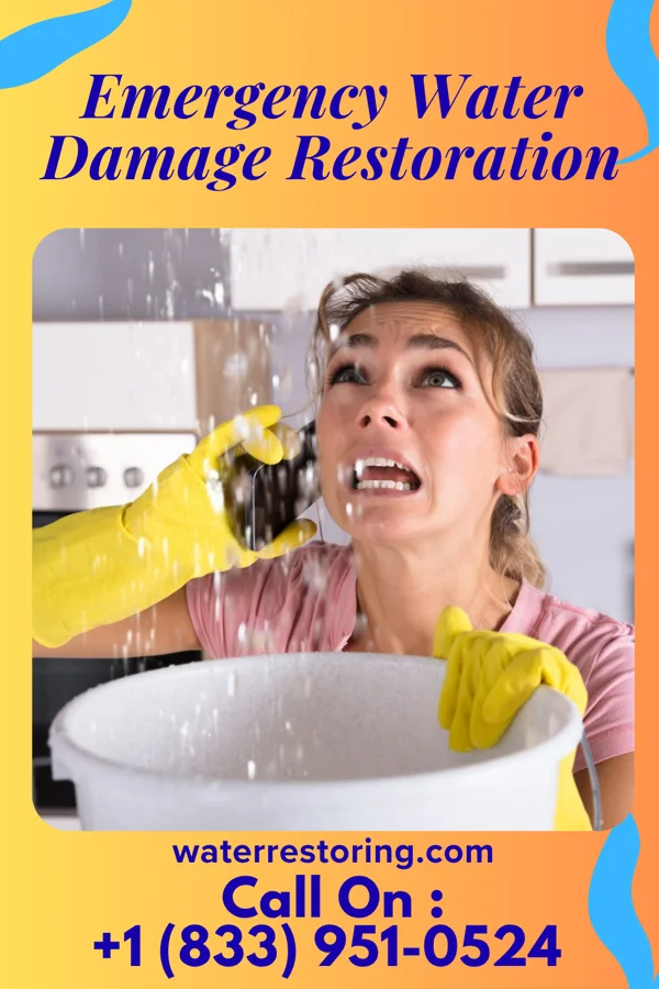 Emergency Water Damage Restoration in Meadow View Addition, SD